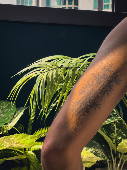 Why is it important to protect your tattoo from the sun?